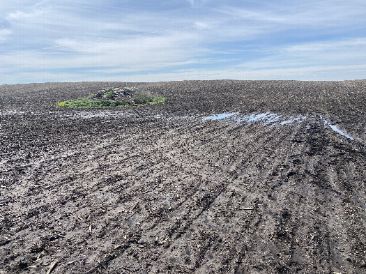 #1: The confluence site, in the foreground, looking Southeast. 