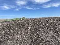 #2: View to the north from the confluence. 