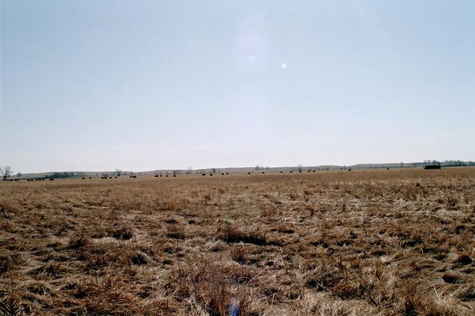 looking east from confluence