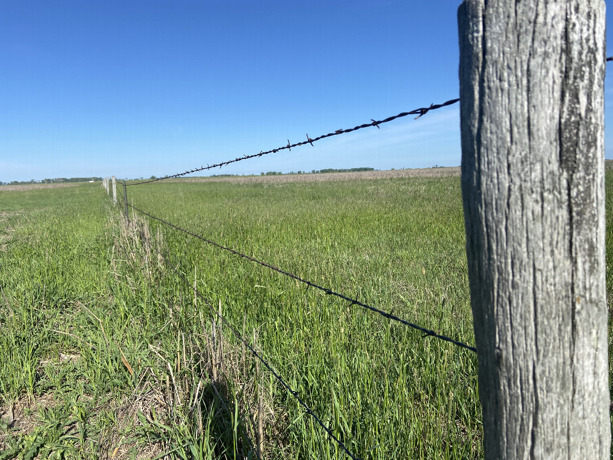 Fence posts, and long horizons. 