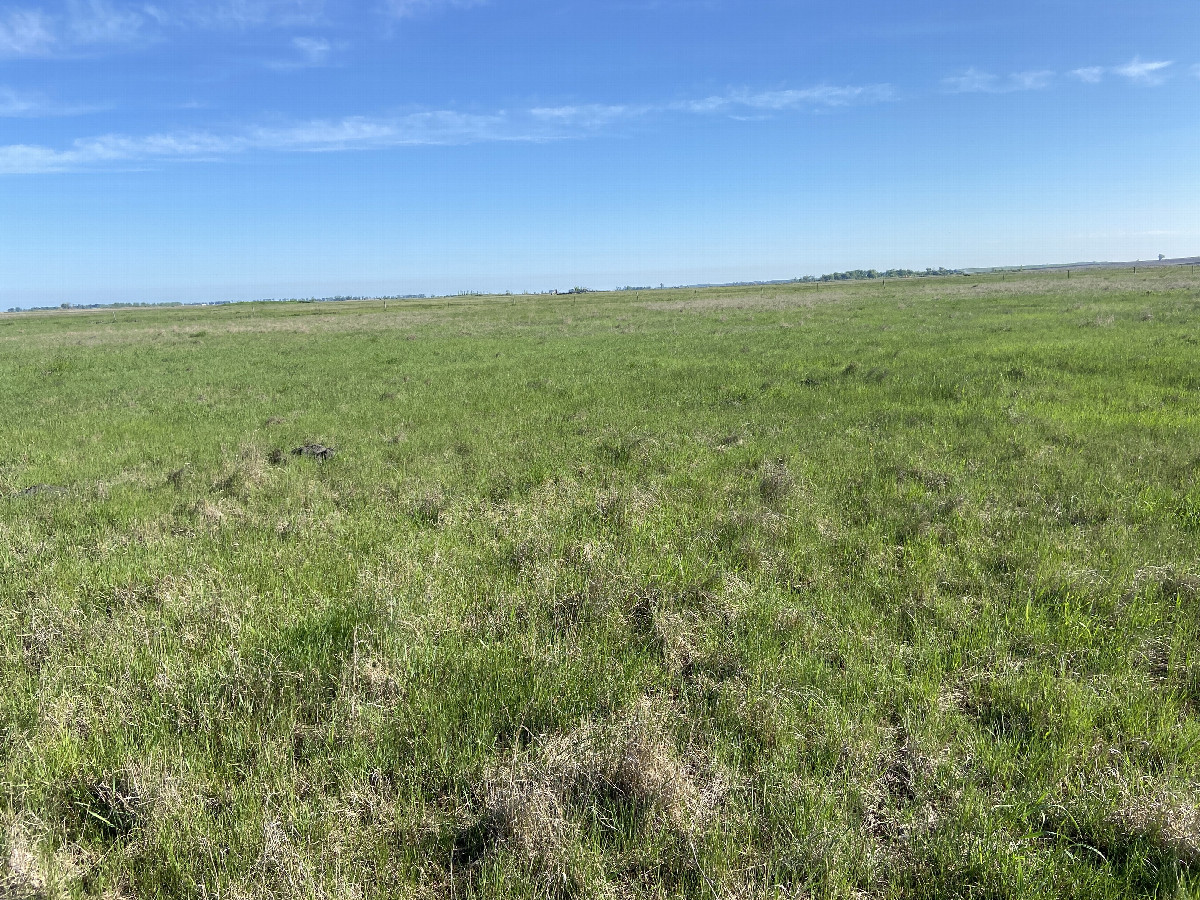 View to the north from the confluence point. 