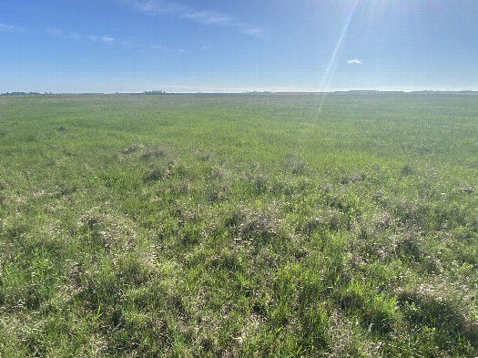 #1: View of the confluence in the foreground looking Northeast. 