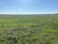 #3: A view to the east from the confluence point. 