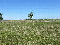 #5: A view to the west from the confluence point. 