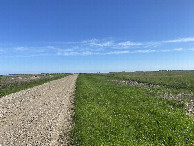 #9: Closest road to the confluence point, looking north. 