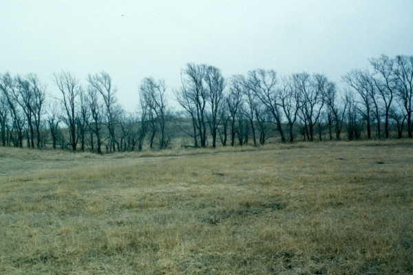 East from the confluence