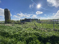 #11: Abandoned, but still lovely farmstead to the west of the confluence. 