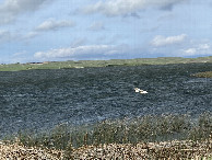 #12: Glacial lakes and beautiful birds swimming, to the north of the confluence.  