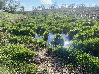 #9: Small creek that must be traversed, if approaching the confluence from the West.  