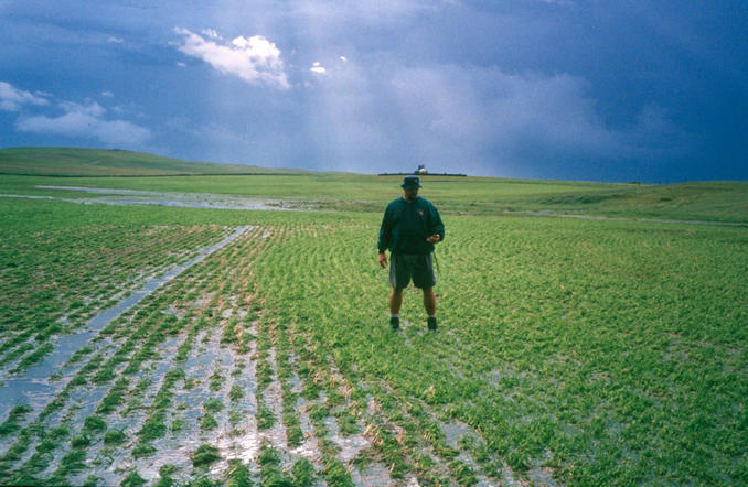 Curt on point, tractor in background is to the east