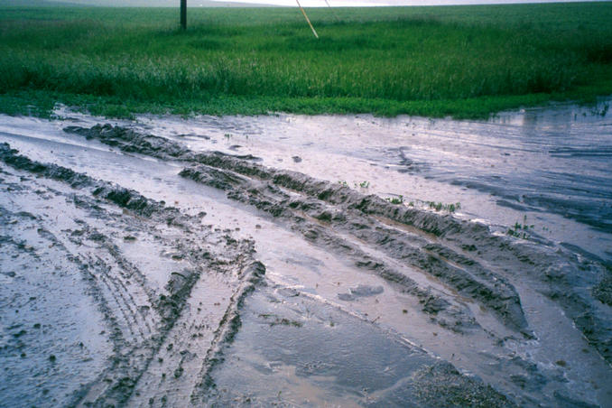 nearly got the car stuck and had to push it out