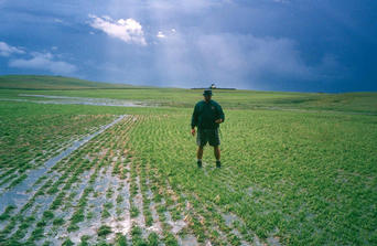 #1: Curt on point, tractor in background is to the east