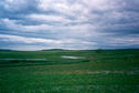 #6: view to the south from confluence