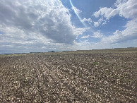 #11: The confluence field… From the nearest road which is to the west of the point, looking south east.