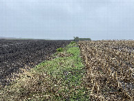 #5: View to the west from the confluence point. 