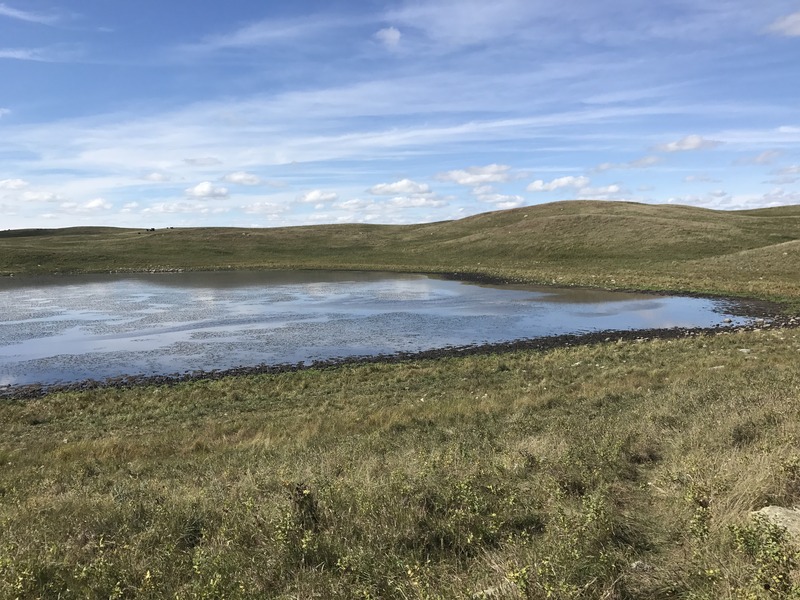 The site of 47 North 100 west, in the background, on the other side of the pond, looking northwest.