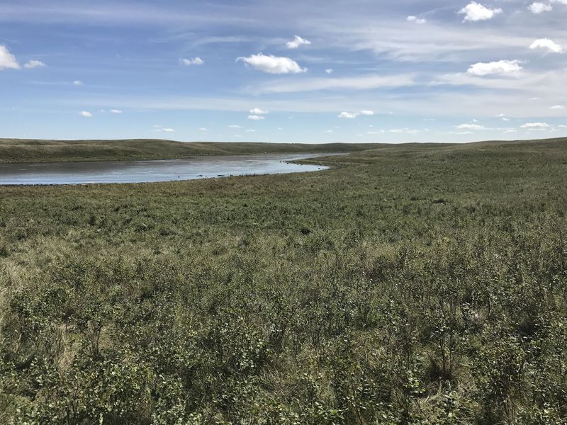 View to the south from the confluence point. 