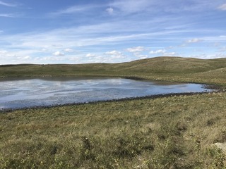 #1: The site of 47 North 100 west, in the background, on the other side of the pond, looking northwest.