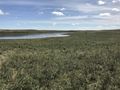 #5: View to the south from the confluence point. 