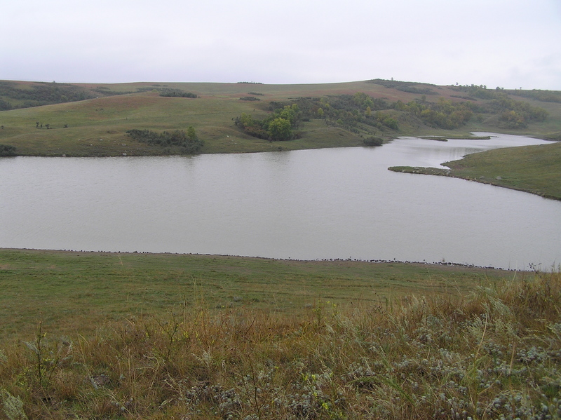 View to the west from the confluence point.