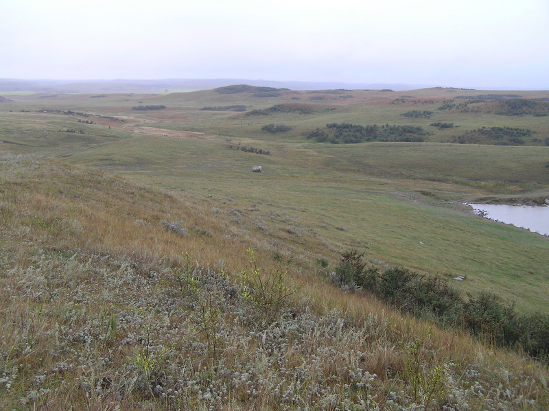 View to the south from the confluence point.