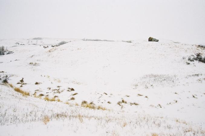 Looking west, with Brent's truck on hill and cattle to left.