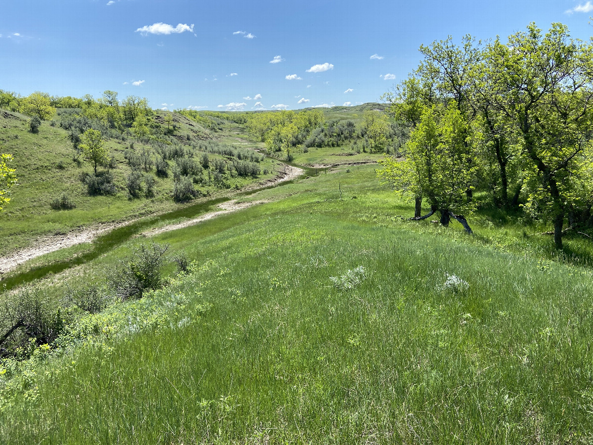 River valley route to the confluence point. 