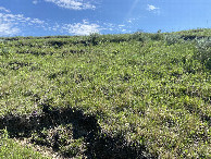 #3: The view to the east from the confluence point.