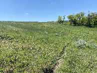 #4: A view to the south from the confluence point.