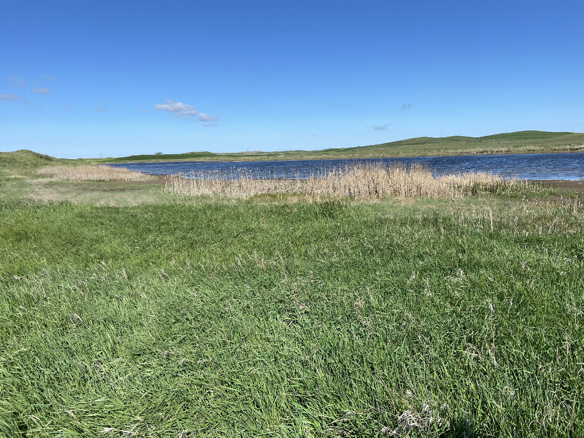 A view to the north from the confluence point. 