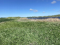 #5: A view to the west from the confluence point.  