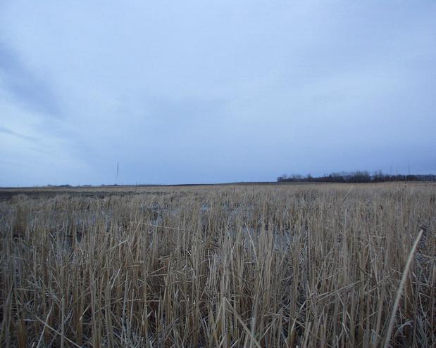 View from the confluence looking east