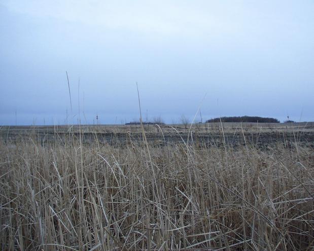 View from the confluence looking south