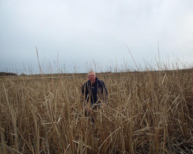 Me on the confluence, picture looking south