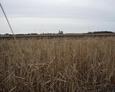 #2: View from the confluence looking north towards Petersburg