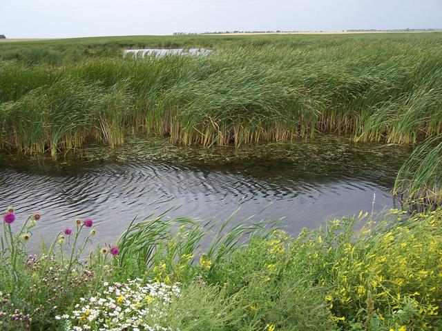 Poor access to the confluence from Highway 32 at N48.