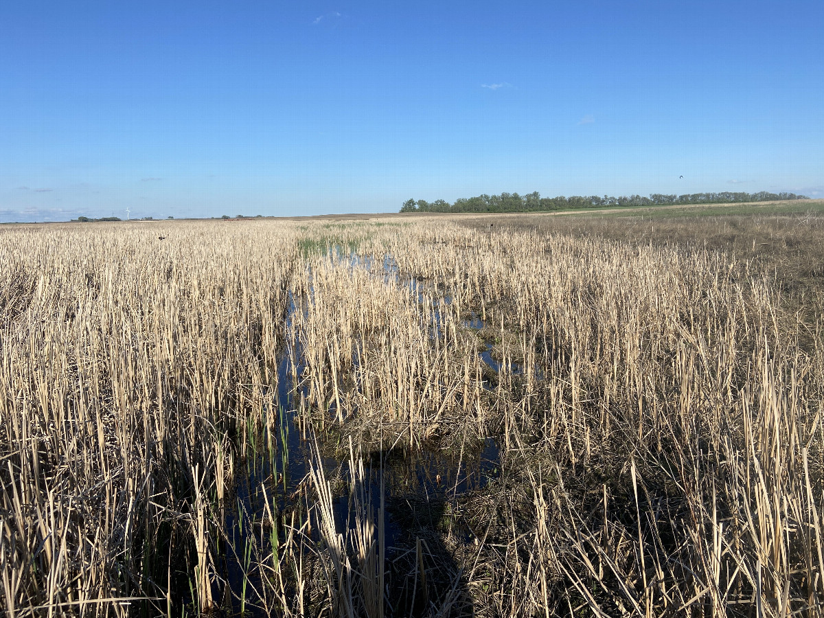 View to the east from the confluence. 