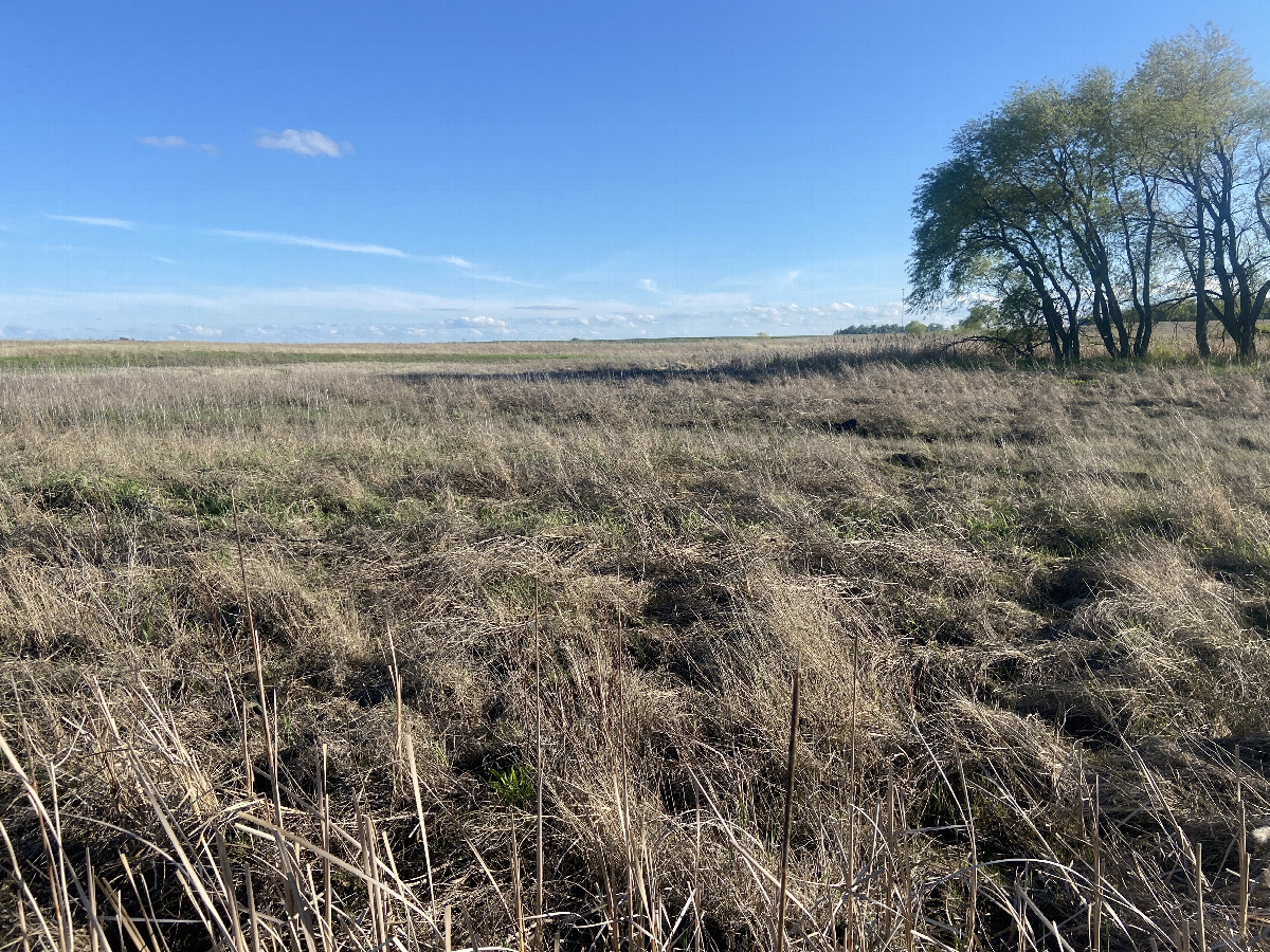 View to the south from the confluence. 