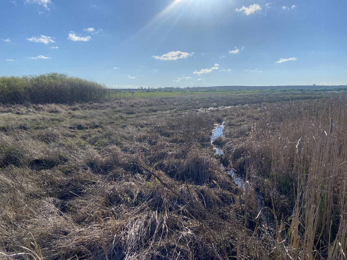 View to the west from the confluence. 