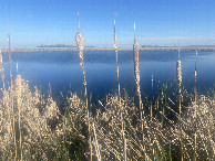 #10: Another view of the neighborhood of the confluence, looking southeast. 