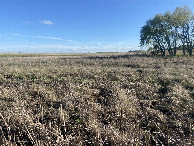 #4: View to the south from the confluence. 