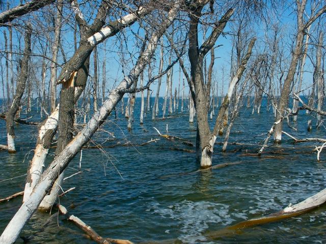 A view towards the confluence