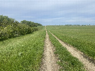 #10: Pathway to the confluence point, from the nearest passable road, 2.2 miles east-northeast of the confluence point. 