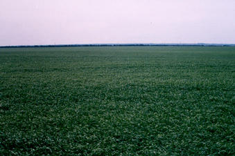 #1: The confluence from 40 feet away looking south