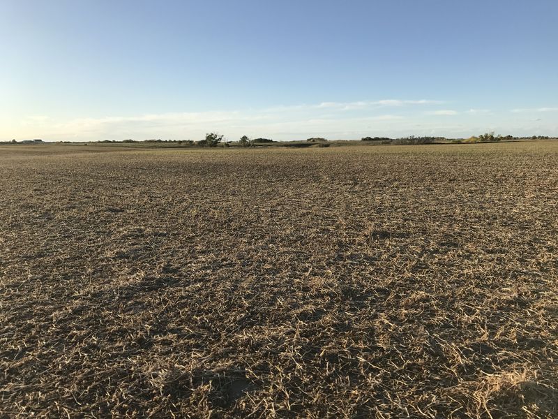 View to the north from the confluence point. 