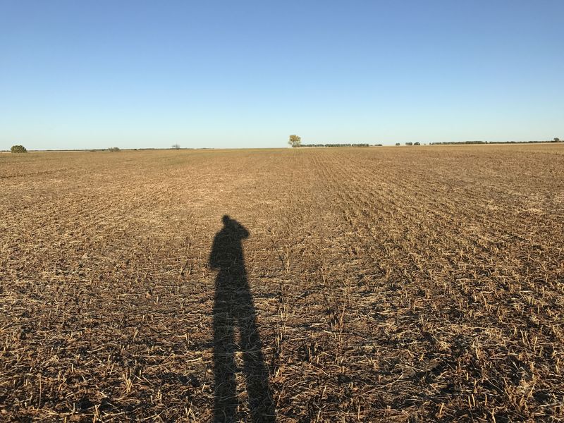 View to the east from the confluence point. 