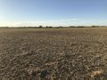 #5: View to the north from the confluence point. 