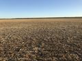 #7: View to the south from the confluence point. 