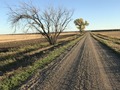 #9: Beautiful time of day and year, looking south from the nearest road to the confluence.