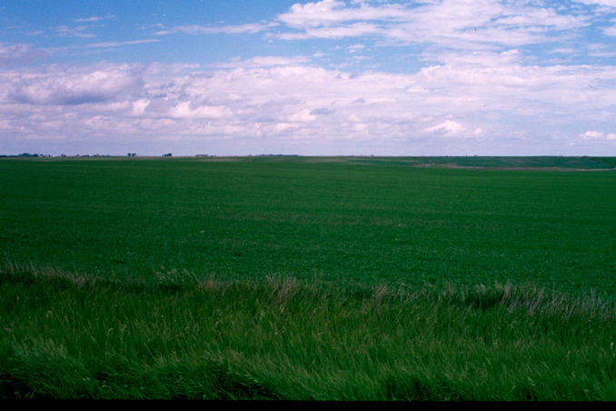 Looking ENE towards Plaza 3 miles distant